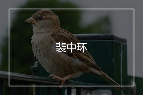 裴中环