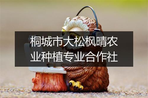 桐城市大松枫晴农业种植专业合作社
