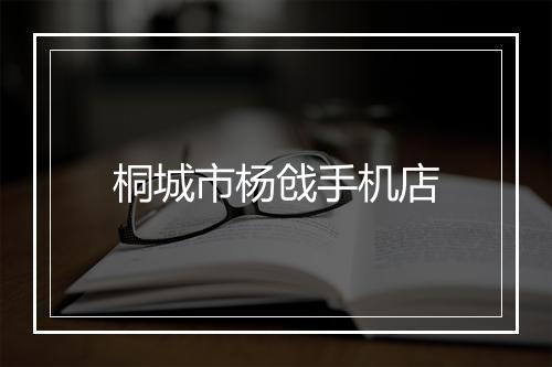 桐城市杨戗手机店