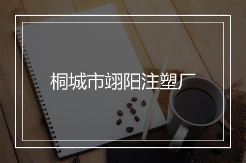 桐城市翊阳注塑厂
