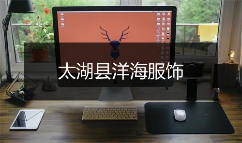 太湖县洋海服饰