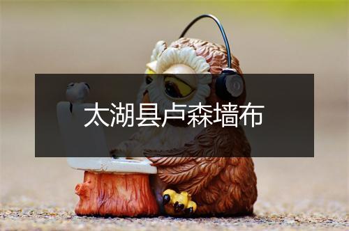 太湖县卢森墙布