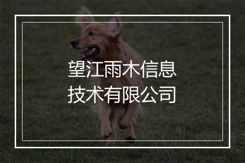 望江雨木信息技术有限公司