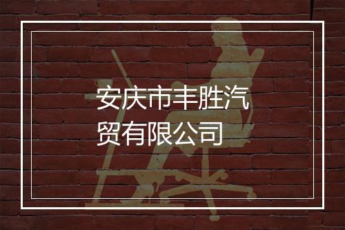 安庆市丰胜汽贸有限公司