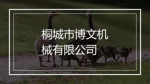 桐城市博文机械有限公司