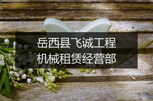 岳西县飞诚工程机械租赁经营部
