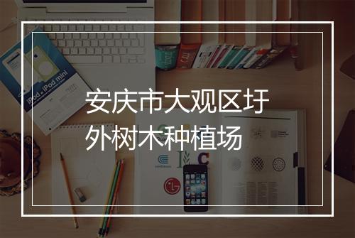 安庆市大观区圩外树木种植场
