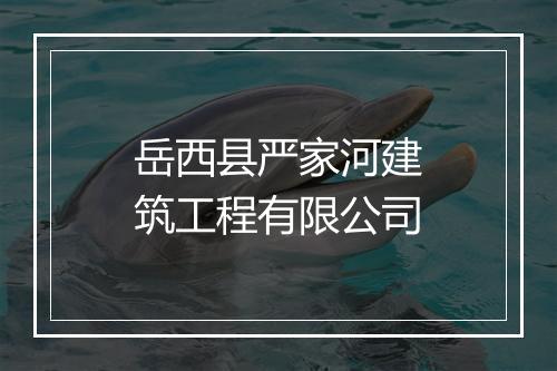 岳西县严家河建筑工程有限公司
