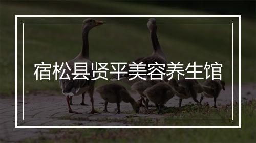 宿松县贤平美容养生馆