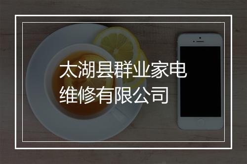 太湖县群业家电维修有限公司
