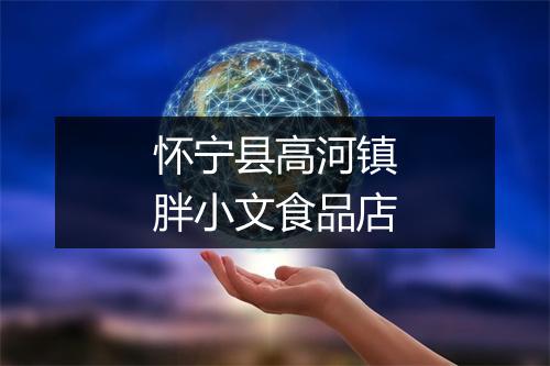 怀宁县高河镇胖小文食品店