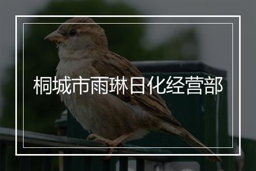 桐城市雨琳日化经营部