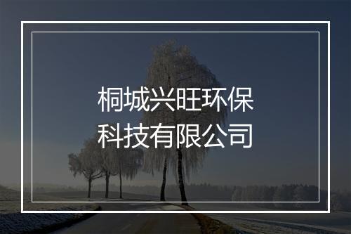 桐城兴旺环保科技有限公司