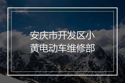 安庆市开发区小黄电动车维修部