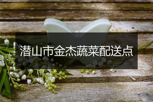 潜山市金杰蔬菜配送点