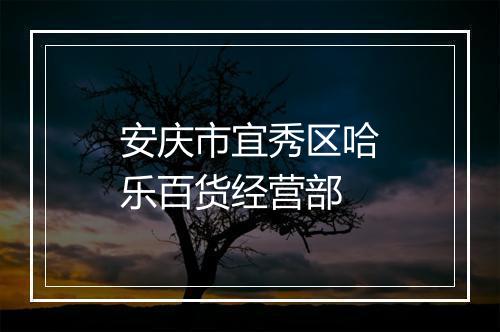 安庆市宜秀区哈乐百货经营部