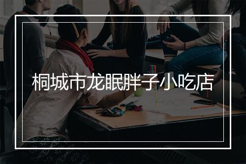 桐城市龙眠胖子小吃店