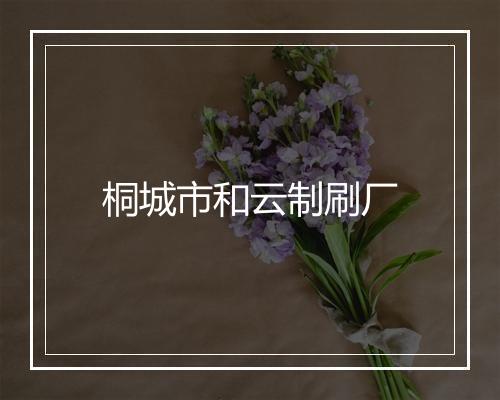 桐城市和云制刷厂