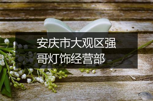 安庆市大观区强哥灯饰经营部