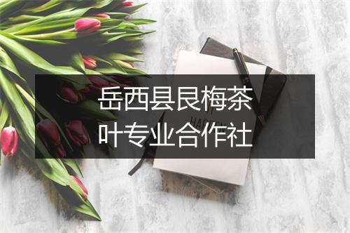 岳西县艮梅茶叶专业合作社