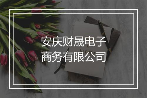 安庆财晟电子商务有限公司