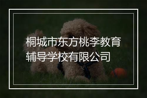 桐城市东方桃李教育辅导学校有限公司