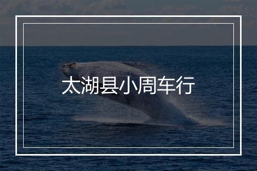 太湖县小周车行