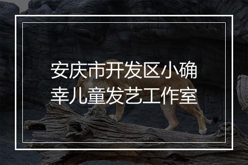 安庆市开发区小确幸儿童发艺工作室