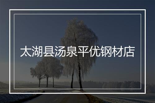 太湖县汤泉平优钢材店