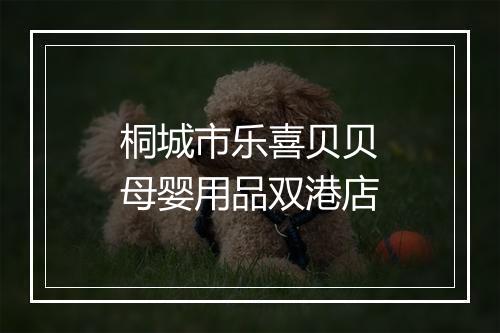 桐城市乐喜贝贝母婴用品双港店