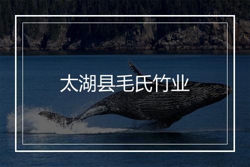 太湖县毛氏竹业