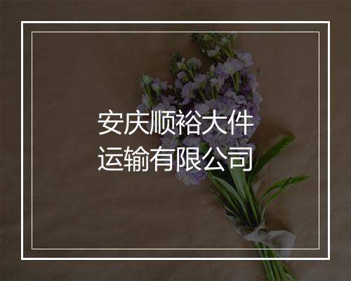 安庆顺裕大件运输有限公司