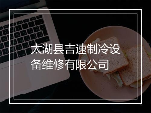 太湖县吉速制冷设备维修有限公司