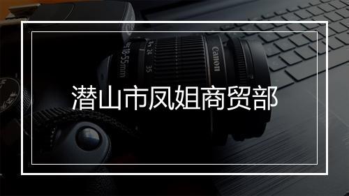 潜山市凤姐商贸部
