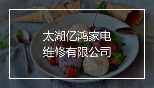 太湖亿鸿家电维修有限公司