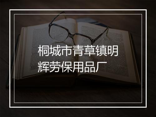 桐城市青草镇明辉劳保用品厂