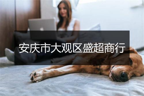 安庆市大观区盛超商行