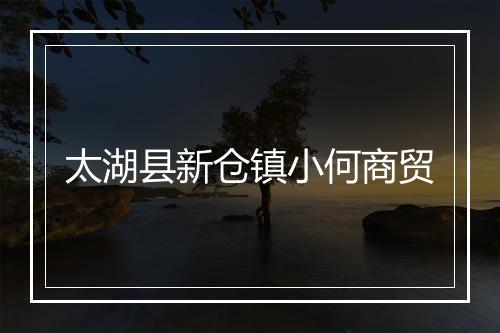 太湖县新仓镇小何商贸