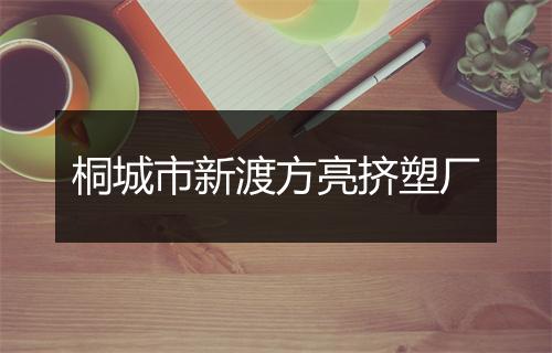 桐城市新渡方亮挤塑厂