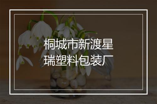 桐城市新渡星瑞塑料包装厂