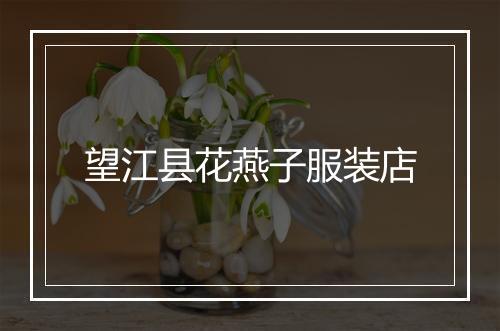 望江县花燕子服装店