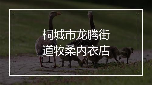 桐城市龙腾街道牧柔内衣店
