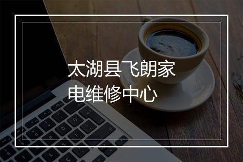 太湖县飞朗家电维修中心