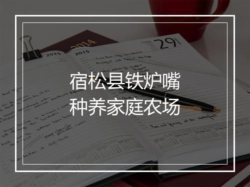 宿松县铁炉嘴种养家庭农场