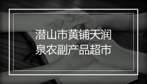 潜山市黄铺天润泉农副产品超市