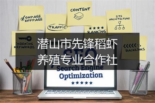 潜山市先锋稻虾养殖专业合作社