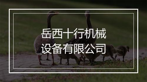 岳西十行机械设备有限公司