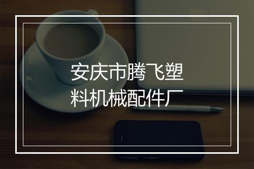 安庆市腾飞塑料机械配件厂