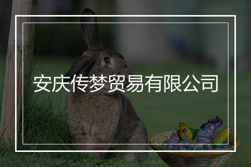安庆传梦贸易有限公司