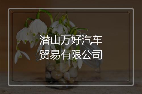 潜山万好汽车贸易有限公司